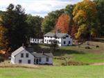 VF Farm
